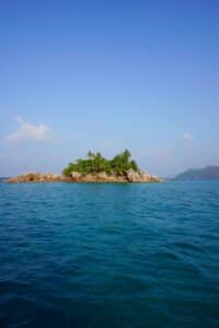 green trees on island surrounded by water during daytime