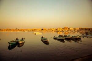 white and green boats on calm body of water