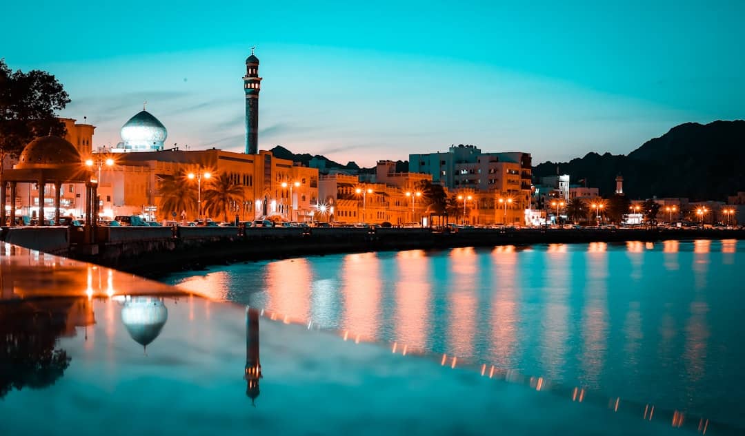 Photo by Muhammad Shoaib city skyline during night time
