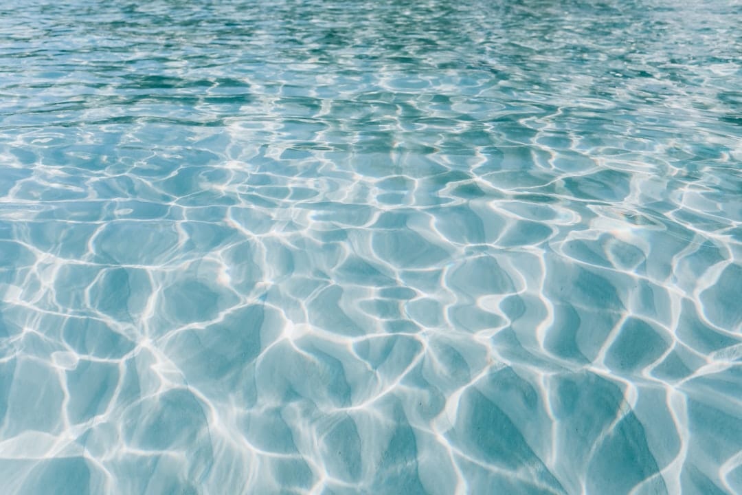Photo by Olivia Hutcherson body of water during daytime