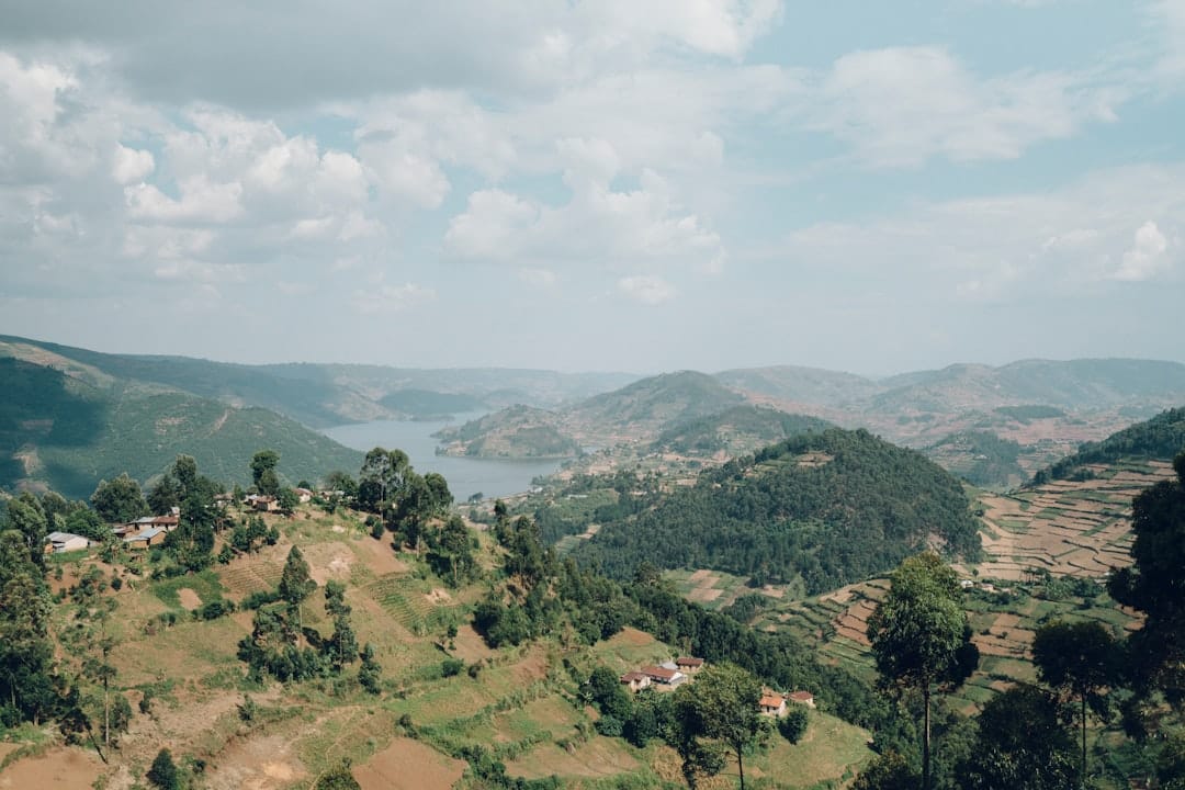 aerial photography of hills and trees
