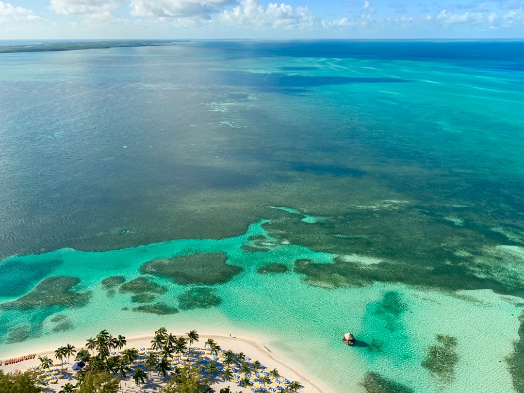 Photo by Fernando Jorge shoreline and body of water during daytime
