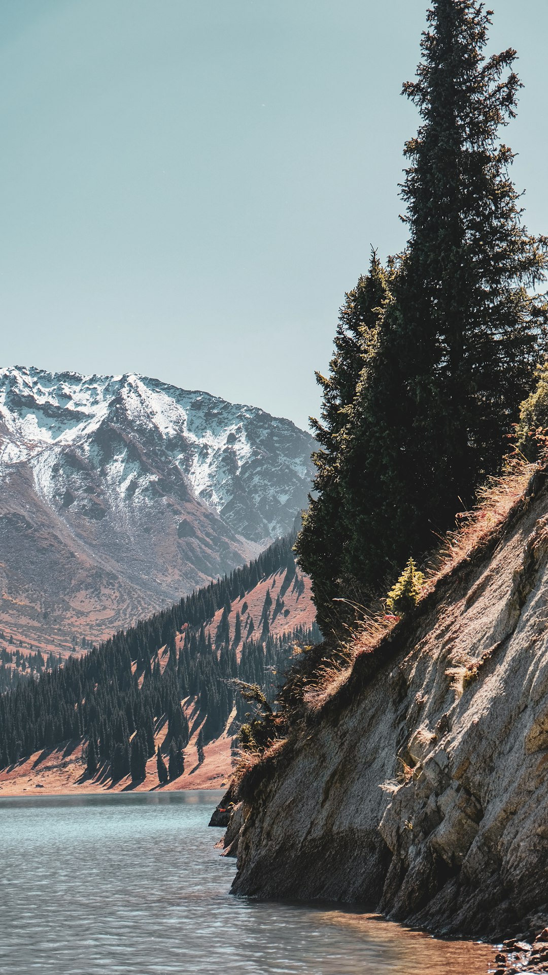 Photo by Dmitry Sumskoy green pine trees on brown rocky mountain during daytime