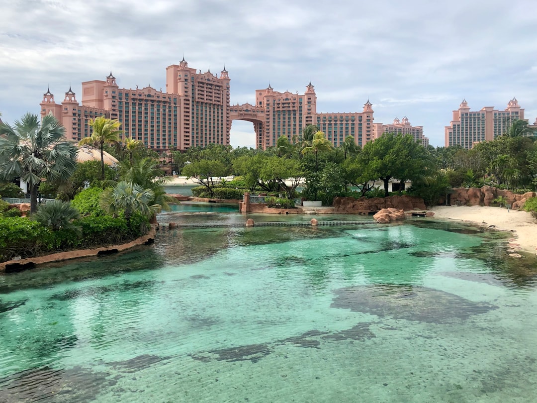 Photo by Isabella Smith green trees near body of water during daytime