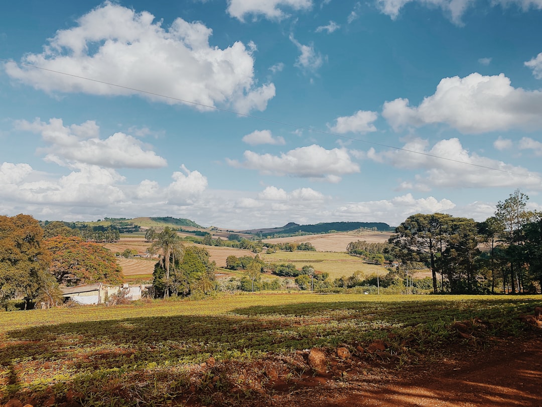 Photo by Aline Fróes - Viaggi Over 55 a landscape with trees and grass
