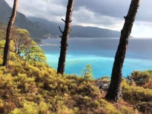 a view of a body of water through some trees