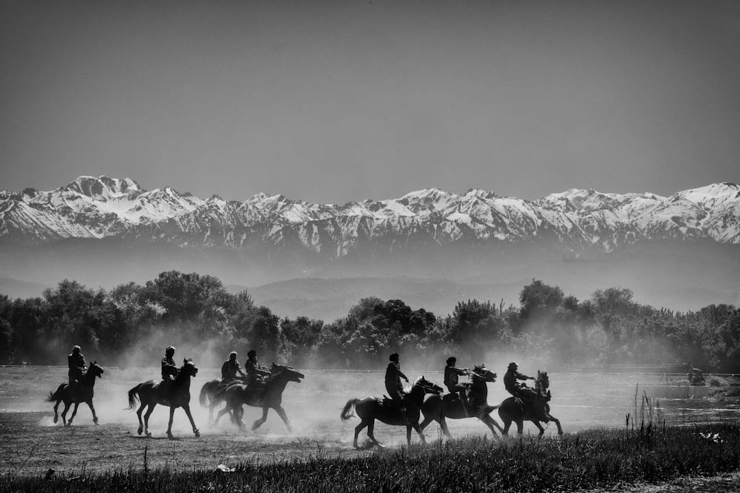 Photo by Joel Heard grayscale photo of horses on grass field