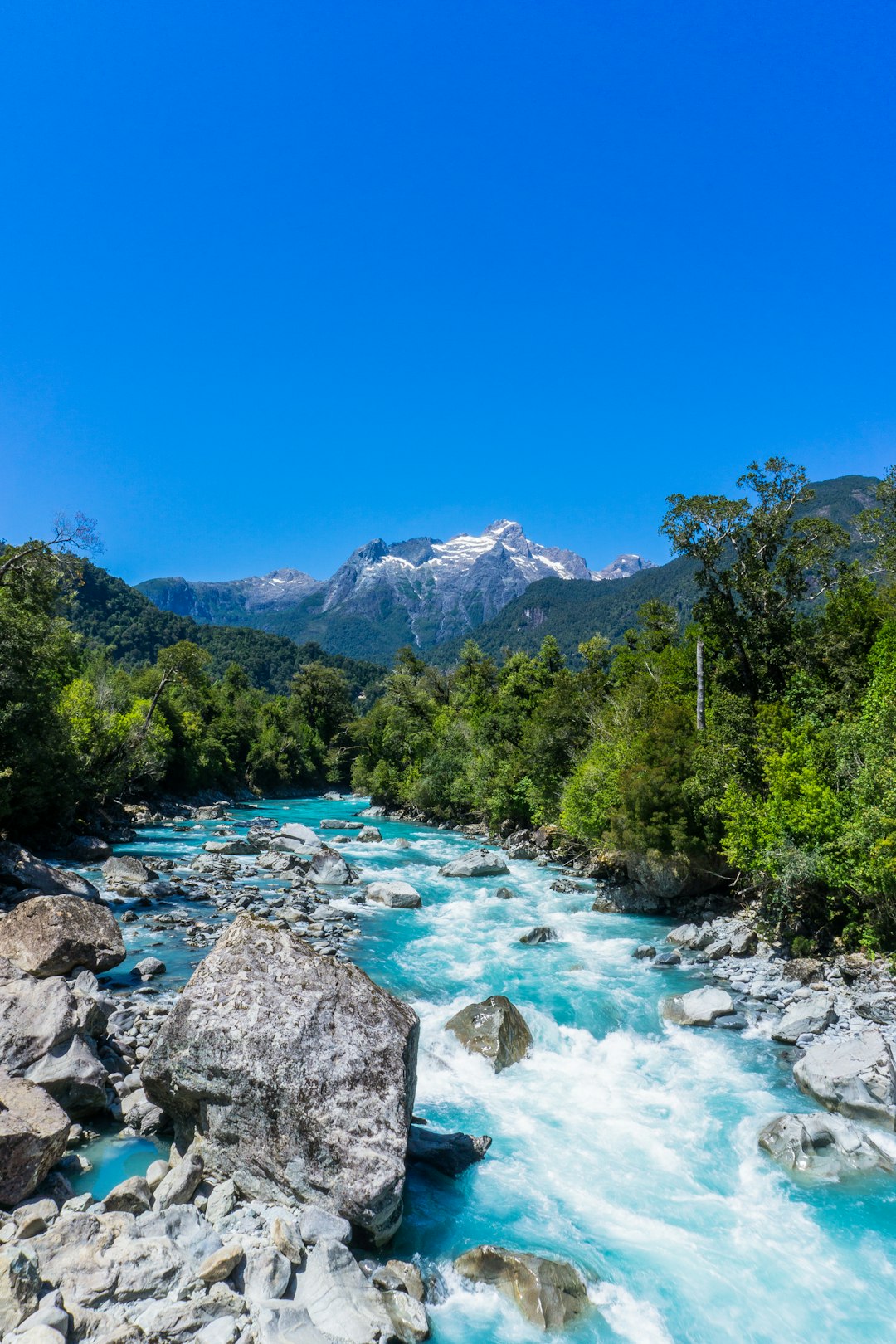 Photo by Daniel Arroyo green trees near river under blue sky during daytime