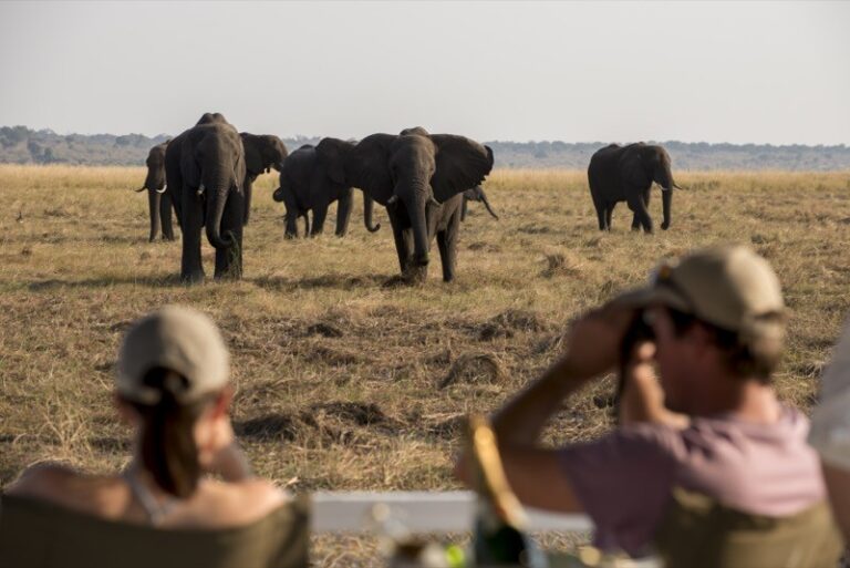Serengeti e Ngorongoro