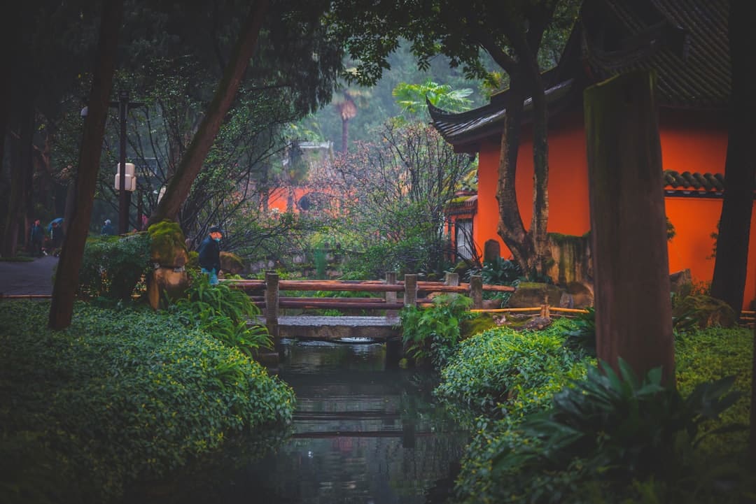 a small bridge over a small stream in a park